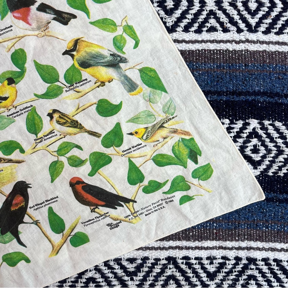 Vintage Bandanna Song Birds of North America USA California 90s